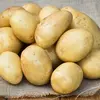 Картофель Лаперла  1 репродукция сетка 3кг. Картофель Лаперла  1 репродукция сетка 3кг.