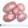 Сорт картофеля Рокко Сорт картофеля Рокко