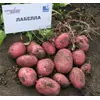 Картофель сорт Лобела 3кг.сетка Картофель сорт Лобела 3кг.сетка