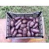 Картофель Смуглянка вкусный Картофель Смуглянка вкусный