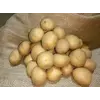 Картофель Орла сверхранняя 1 репродукция сетка 5кг. Картофель Орла сверхранняя 1 репродукция сетка 5кг.