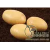 Картофель сорт Нектар 1 репродукция сетка 3кг Картофель сорт Нектар 1 репродукция сетка 3кг