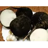 Редька черная Редька черная