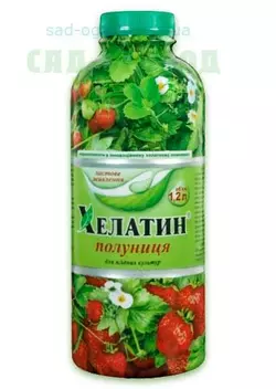 Хелатин клубника 1.2л Хелатин клубника 1.2л