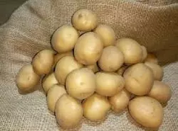 Картофель Орла сверхранняя 1 репродукция сетка 5кг. Картофель Орла сверхранняя 1 репродукция сетка 5кг.