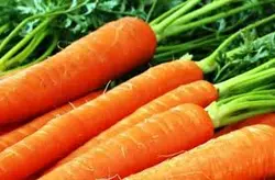 Морковь "Красавка"