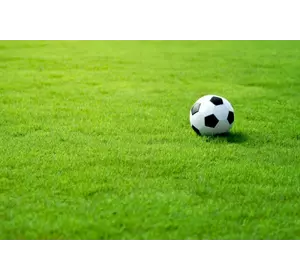 Спортивный газон семена Спортивный газон семена