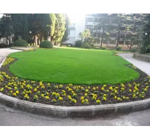 Трава газонная универсальная Трава газонная универсальная