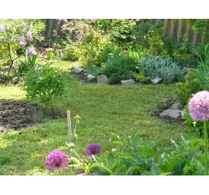 Полевица Полевица