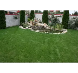 Семена газонных трав Декоративный газон Семена газонных трав Декоративный газон