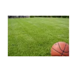 Игровой газон семена Игровой газон семена