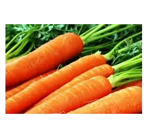 Морковь "Красавка"